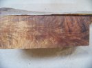 brucewood5.jpg