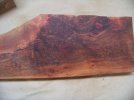 brucewood3.jpg