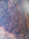 brucewood2.jpg