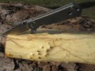 2010_04_vilsteren_hout_van_bomen_12.jpg