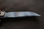 DSC02115 - Copy.jpg