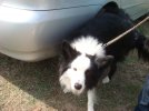DSC00804.JPG