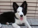 DSC07239.jpg