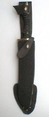 Shiva sheath.jpg