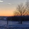 20190221_180939-02.jpeg