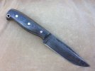 516_Olamic_voykar2.JPG