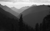 IMG_0343.JPG