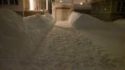 IMG_20190224_045734268.jpg