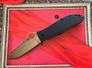 Spyderco G Bradley.JPG