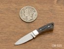 CM_525.jpg