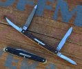 Schrade Cut Co Stag Senators.jpg