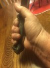 IMG_3975.JPG