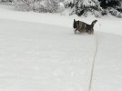 AE57DF44-D617-4971-B2FC-C385B978727E.jpeg
