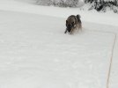 093E5709-3511-4BC9-A016-0CB900E9A3F7.jpeg