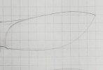 20190305_094436-01.jpeg
