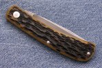kh-caseantqbonekhnut-2.jpg