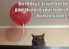 birthday-cat-will-not-be-in-your-foolish-human-games-23858566.jpg