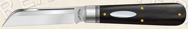 2019_BF_ab_oval_mini.jpg