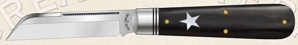 2019_BF_ab_star_mini.jpg