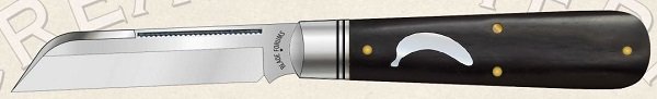 2019_BF_ab_banana_mini.jpg