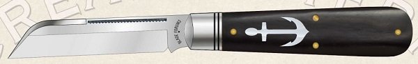 2019_BF_ab_anchor_mini.jpg