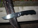 May 2010 stuff 005.JPG