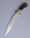 stag siska left side.jpg