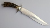 stag siska right side.jpg