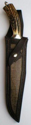 stag siska in sheath.jpg
