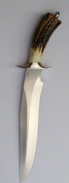 stag siska left side 2.jpg