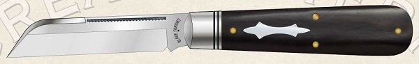 2019_BF_ab_orleans_mini.jpg