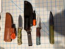 FIddlebacks with sheaths 1.jpg