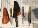 FIddlebacks with sheaths 2.jpg