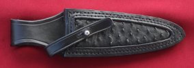 17118 Sheath.jpg