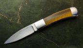 tiger-eye-slippy-1.jpg