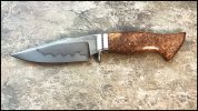 Cooper-1.jpg