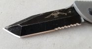 Blackbird Blade sized.jpg