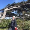 Windy Jo.jpg