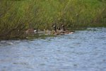 IMG_3127_.jpg