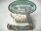 Buck 110 NS Damascus Paua Shell #1.jpg
