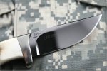 cpm-154.jpg