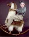 SeanRockingLlama.JPG.jpeg