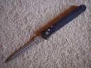 DSC00499.jpg