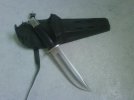 NemowithSheath.jpg
