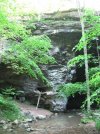 IMG_2055.jpg