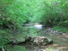 IMG_2057.jpg