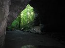 IMG_2061.jpg