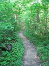 IMG_2066.jpg