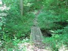 IMG_2072.jpg
