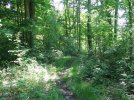 IMG_2084.jpg